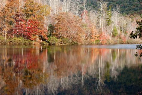 South Carolina Fall Foliage 2024 - Rove.me