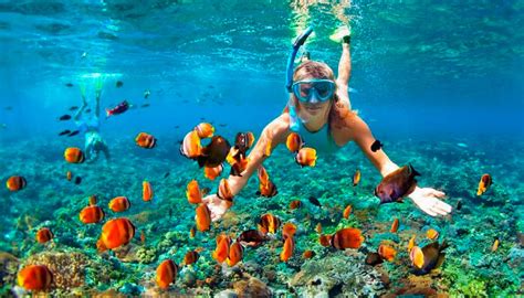 Isla Mujeres Snorkeling | Skulls Landing Isla Mujeres