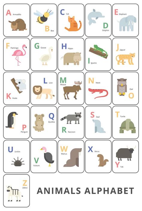 Animal Alphabet Flash Cards Printable | Alphabet flash cards printable, Abc printables, Abc ...