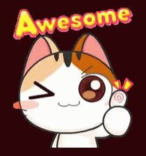 Awesome Cat Thumbs Up GIF | GIFDB.com