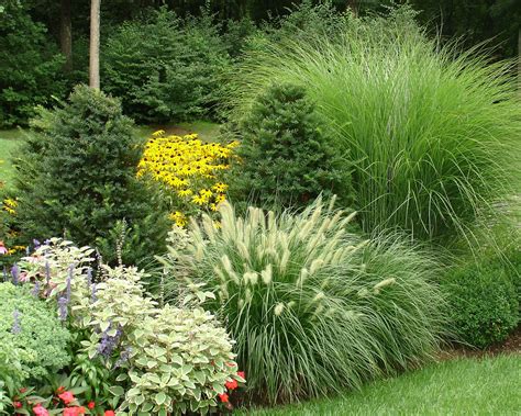 Pin by sylvia stallings on Johnsen Landscapes & Pools | Evergreen landscape, Grasses landscaping ...