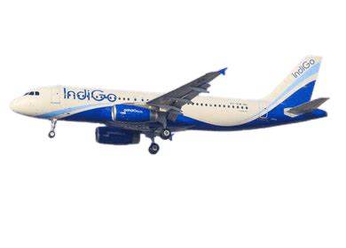 Indigo Flight Logo Png - Frank And Zoey