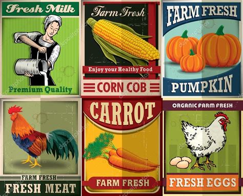 Vintage farm fresh poster set design — Stock Vector © Donnay #53513051