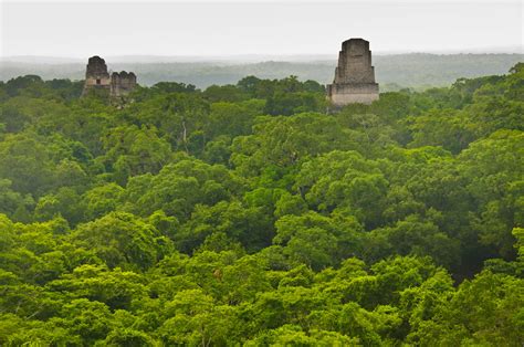 Tikal-18 | Mayan temples in the jungle, Tikal, Guatemala. | Graeme Churchard | Flickr