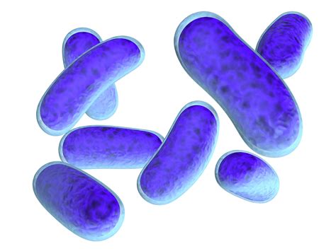 Batteri antibiotico resistenti sempre più diffusi - Stetoscopio | Rivista medica online