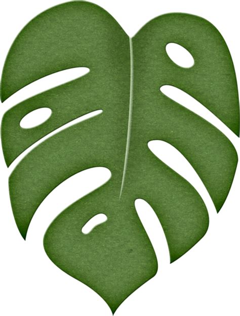 Download Leaf Png Pinterest Moana Stenciling And Template - Jungle Leaf ...