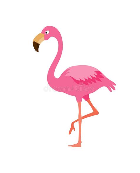 Flamingo stock vector. Illustration of wildlife, african - 100765608