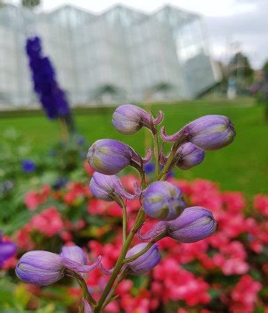 Ballarat Botanical Gardens: 2018 All You Need to Know Before You Go ...