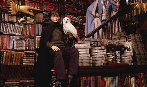 Harry Potter's Hedwig is under threat due to declines of the snowy owl ...