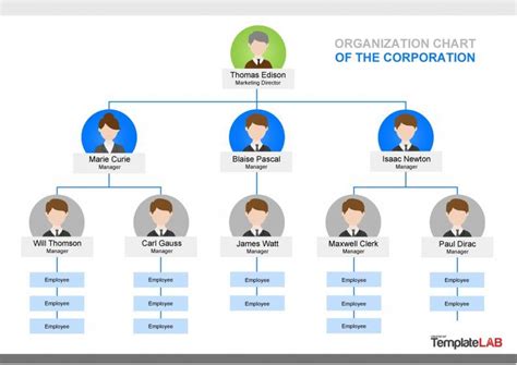 Organizational Chart Templates Free Download