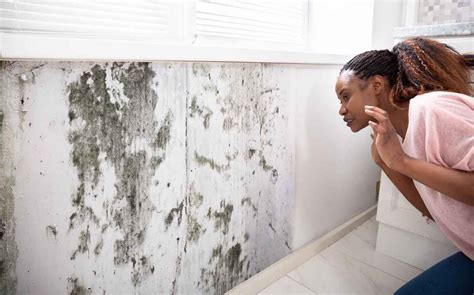 The Ultimate Guide on How To Clean and Get Rid Of Mold — Pro Housekeepers