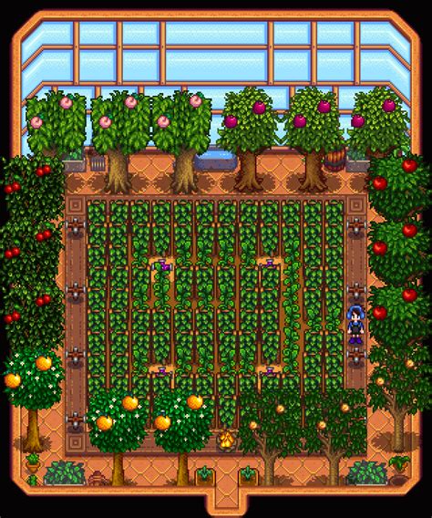 Greenhouse layout (92 hops, 24 Ancient Fruit) : r/StardewValley