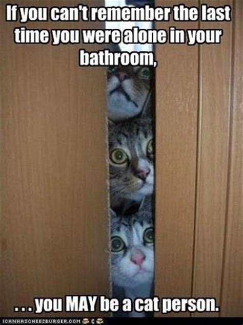 crazy cat lady, funny pictures - Dump A Day