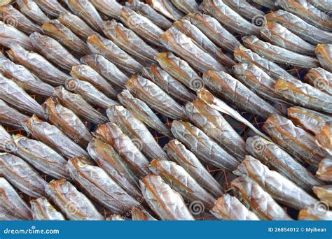 Dry fish for cooking stock photo. Image of asia, food - 26854012