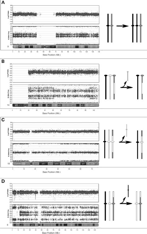 Mosaic trisomies. (A) Mosaic trisomy 9 (20%) in patient no. 17, with no... | Download Scientific ...