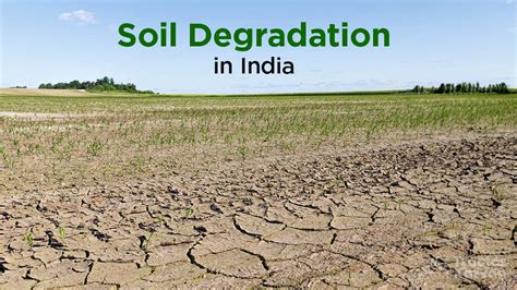 What is Soil Degradation in India - Causes & Solutions