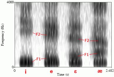 Identifying sounds in spectrograms