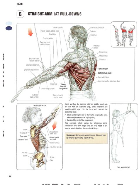 Strength Training Anatomy 2nd Edition