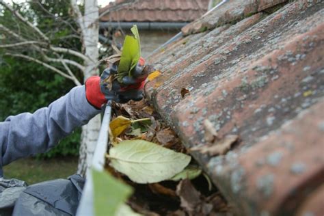 8 Gutter Cleaning Safety Tips