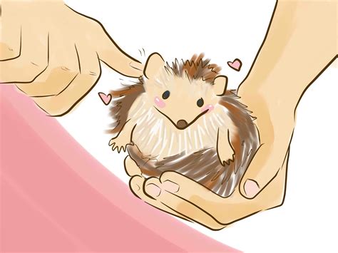 How to Take Care of a Hedgehog (with Pictures) - wikiHow