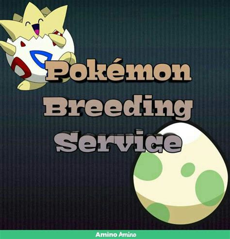 Pokemon breeding requests | Pokémon™ Gaming Amino