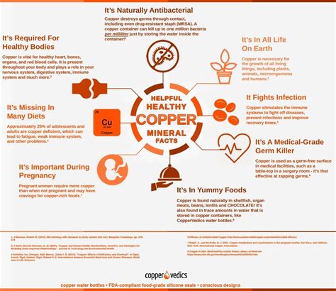 Copper’s health benefits #infographic #copper #health - Infographic List | Infographic, Natural ...