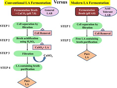 Lactic Acid Fermentation Products