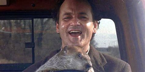 Groundhog Day Saw Bill Murray Bitten by His Animal Co-Star