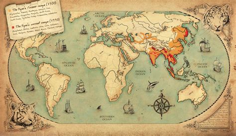 Tiger Map by woanling on DeviantArt