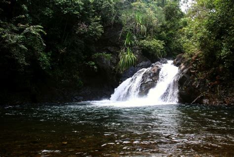 Narra, South Palawan: Discovering the Best Attractions