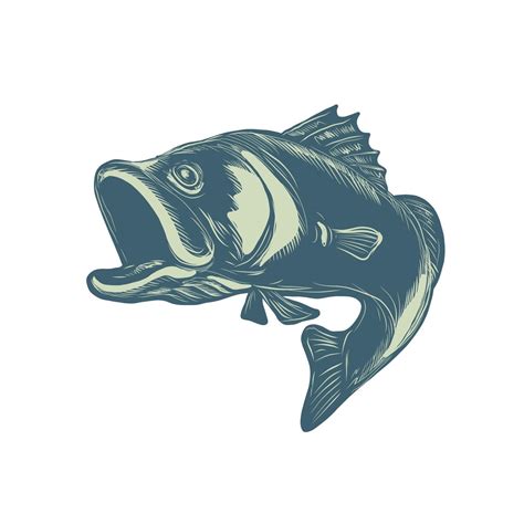 Scratchboard style illustration of a barramundi or Asian sea bass 2230341 Vector Art at Vecteezy