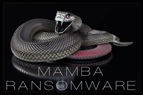 Mamba Ransomware Discovered - Best Security Search