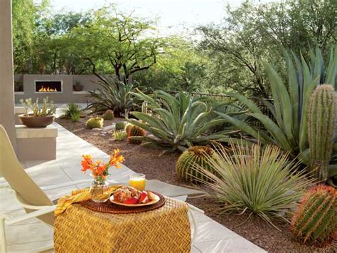 Desert Garden and Landscape Ideas • The Garden Glove