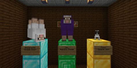 All Name Tag Easter Eggs In Minecraft 1.19