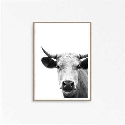 Farmhouse decor Cow Print Rustic Home Decor Country Cottage