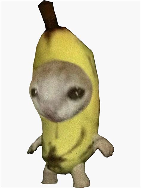 "crying banana cat meme " Sticker for Sale by hollygeorge22 | Redbubble