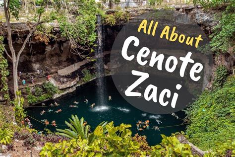 18 Things To Know About Cenote Zaci in Valladolid - Traveltomtom.net