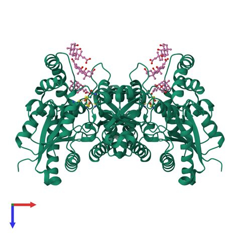 PDB 2po5 gallery ‹ Protein Data Bank in Europe (PDBe) ‹ EMBL-EBI