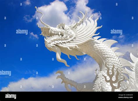 white dragon in chinese temple with beautiful sky background Stock ...