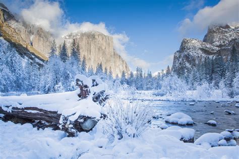 A Guide To Badger Pass Ski Area, the Ski Resort Inside Yosemite ...