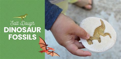 Animal Fossils For Kids