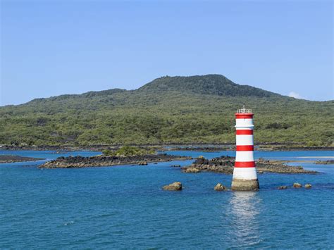 Rangitoto Island - A Volcanic Day Trip - M2woman