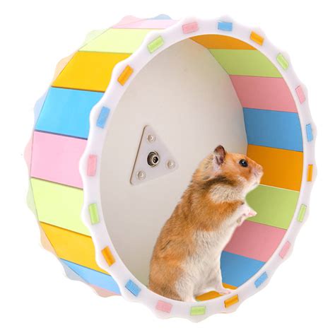 Hamster Wheel Silent Spinning Running Wheel Exercise Wheel for Small ...