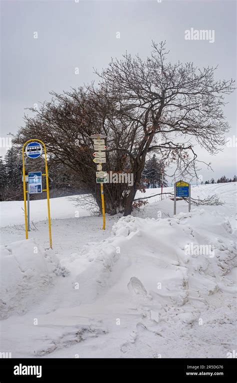 Bus stop in a snowy landscape Stock Photo - Alamy