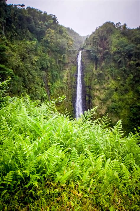 The Legend of Akaka Falls, Big Island, Hawaii - That Adventure Life