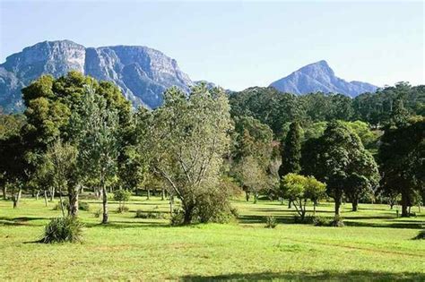 Wynberg Park (South Africa): Top Tips Before You Go - TripAdvisor