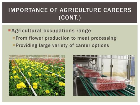 PPT - Careers in Agriculture PowerPoint Presentation, free download - ID:1696659