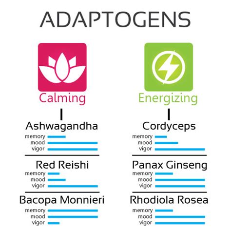 Ultimate Guide to Nootropics | Part 4 | Adaptogens - Nootropics Depot