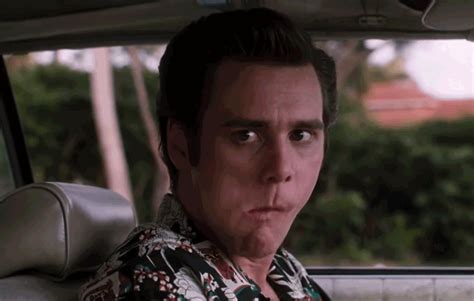 Famous Ace Ventura Animal Gifs References