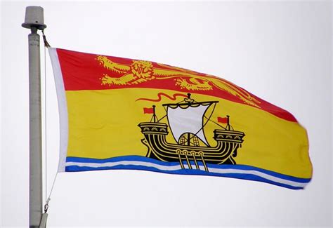 New Brunswick flag | New brunswick flag, New brunswick, Canadian flag